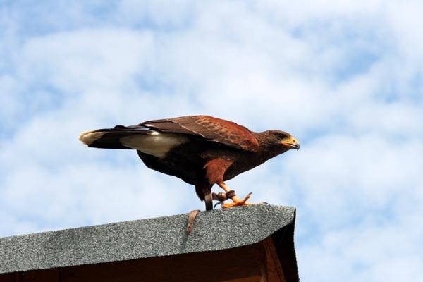 Killikus® Fotographie Killikus® Fotographie